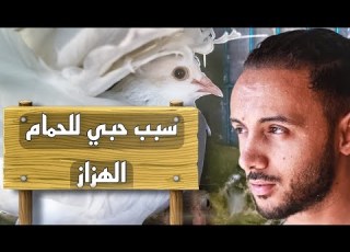  سبب تربيتي للحمام الهزاز وايه اكتر نوع ندمت انه اتباع