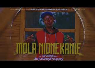 JujuDeyPappy MOLA NIONEKANIE Official Visualizer Audio Prod By Williams Records
