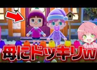  ドッキリ 実の母親の島荒らしてみた結果ｗｗｗｗｗ あつまれどうぶつの森 てるとくん