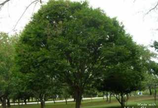 انشودة الهواره إسلامنا بإصداره انشاد إبراهيم الأحمد