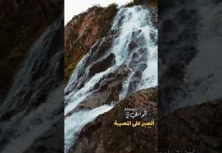 الصبر على المصيبه الشيخ احمد الوائلي