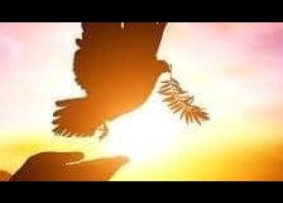 Nan Dhufa Naan Jettee Tafari Salale New Official Video 2023