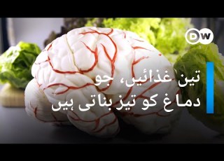  یہ تین غذائیں کھائیں دماغ کو تیز بنائیں DW Urdu