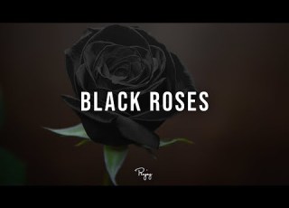  Black Roses Storytelling Trap Beat Free Rap Hip Hop Instrumental 2022 Deemax Instrumentals