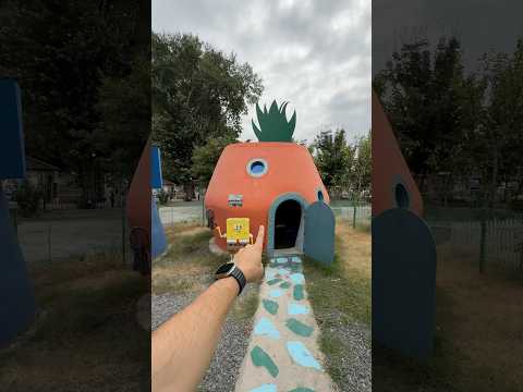 بيت سبونچ بوب في الحقيقه