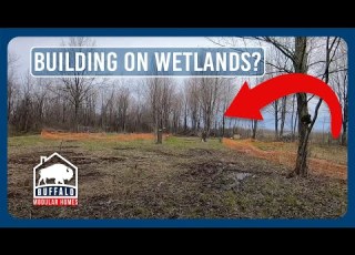  Can You Build On Wetlands