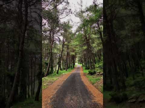 أرواحنا كالجند تلاقت نشيد رائع