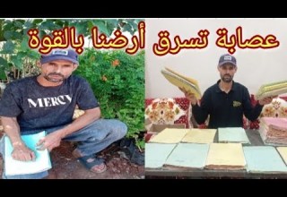 عصابة إجرامية تسرق أرضنا بالقوة وبتواطؤ من المحكمة الابتدائية بنسليمان ويتحدون جميع الخطابات الملكية