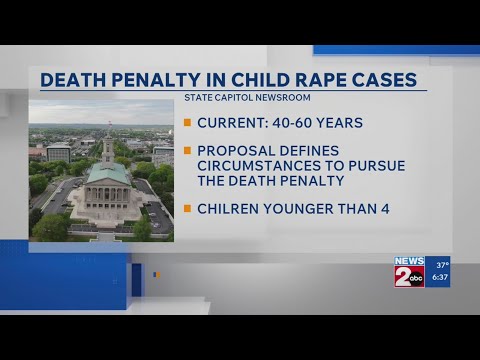 مشرعون في ولاية تينيسي يدرسون عقوبة الإعدام في قضايا اغتصاب الأطفال