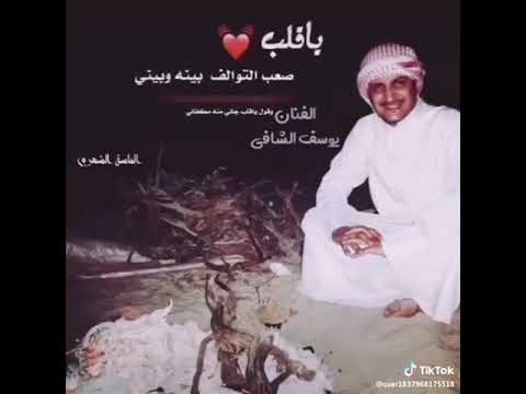 الفنان يوسف شافي