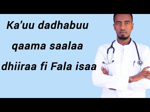 Ka Uu Dadhabuu Qaama Saalaa Dhiiraa Fi Fala Isaa Part 1 Ka Uu Dadhabuu Qaama Saalaa Dhiiraa Fi Fala Isaa Part 1