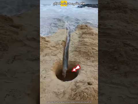 قام بخطإ فادح على الشاطئ Shorts