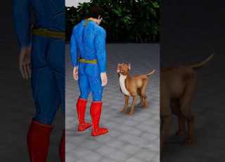 Superman Vs Dog When Dog Messed With Superman