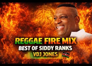 MAANDAMANO Reggae Fire Mix Best Of Siddy Ranks VDJ Jones Never Too Late Baby It S You
