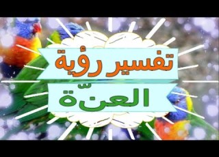  تفسير رؤية العن ة في المنام تفسير الاحلام العن ة تفسير الاحلام للنابلسي 2018