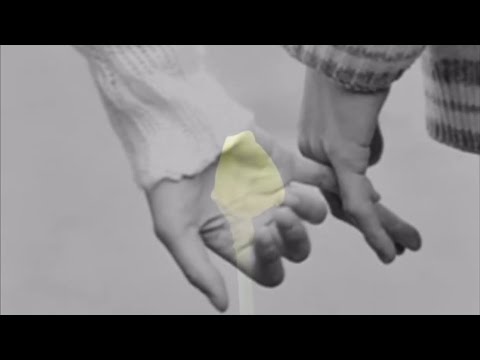 امشيلك شواطي الليل وانت نجوم تبرالي