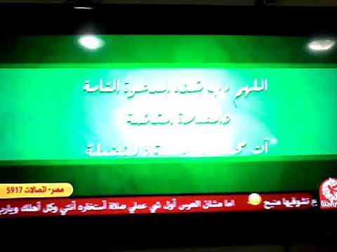 طيور الجنه الصلات