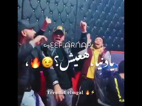 قاعده رايقه حربوني بحكومه احمد موزه مصطفي الجن هادي الصغير مهرجان حالات ستوريات شعبي
