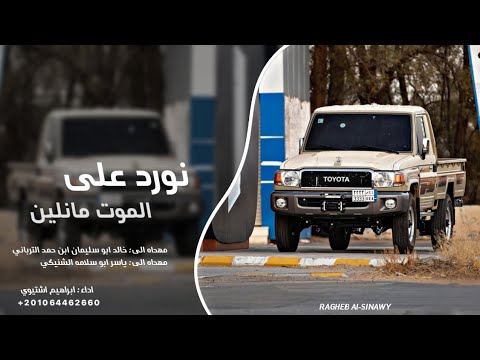 نورد علي الموت مانلين ابراهيم اشتيوي 2025 اغاني تيك توك