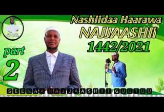Nashiidaa Seenaa Najjashii Guutuu Isii Kunootii Caqasaa Ittiin Booharaa