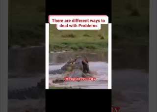 Example For How To Handle The Problems Problem Problemsolving Problemsolvingskills