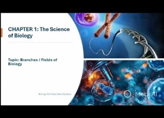 Branches Fields Of Biology Chapter 1