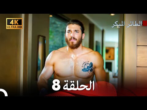 مسلسل الطائر المبكر الحلقة 8 4K Arabic Dubbed