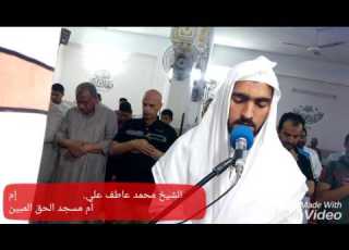 الشيخ محمد عاطف علي