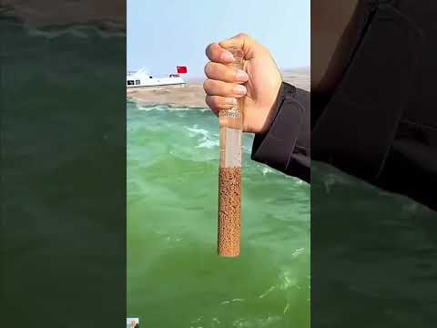 عمرك سألت نفسك ليه المحيط الهادي والاطلسي عمرهم ما يختلط ببعض عمرك سألت نفسك ليه المحيط الهادي والاطلسي عمرهم ما يختلط ببعض