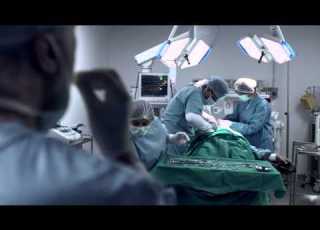  Fox I Hospital I 2015
