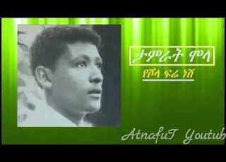 Tamirat Molla Yeshola Fre Nesh