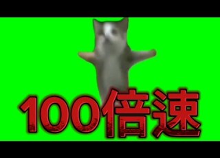 ハッピーcatを倍速してみた 猫ミーム 倍速 猫マニ