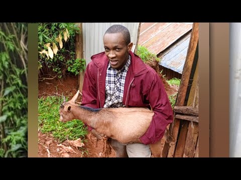 Ukienda Kulipa Mahari Hii Christmas Comrade Plan Gone Wrong