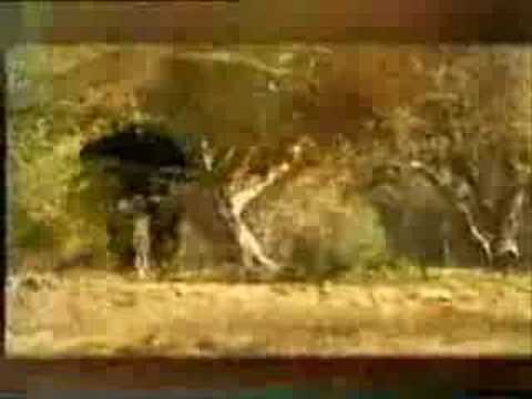 أنـاديـكـم أشـد عـلـى أيـاديـكـم