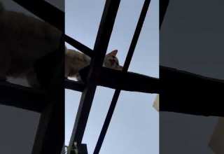 فطين في أيده قلم وكتاب