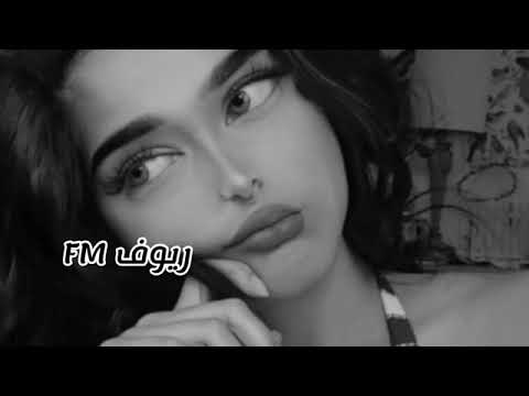 شيلة برفوق ياسيد المضانين برفوق غريب ال مخلص و بندر اليامي 2024 مطلوبة اكثر شيء 360P