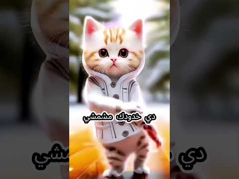 يوسف يا قمر اغنيه باسم يوسف