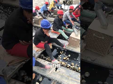 One Good Stone Can Make Their Whole Day Worth It