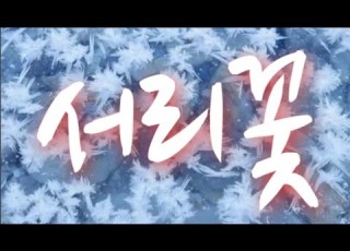서리꽃 성민지 원곡