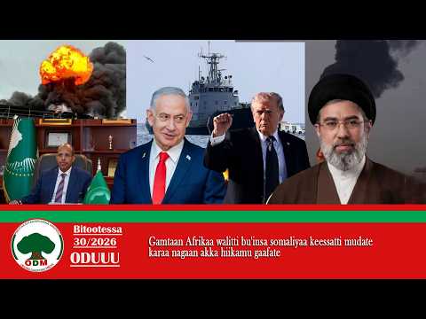 O D M Oduu Bitootessa 30 2026