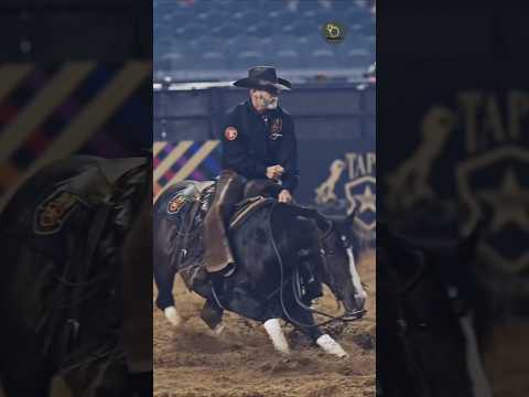 هل المهماز يؤلم الحصان الحقيقة قد تفاجئك اكسبلور Shorts حصان هل تعلم Reels معلومات