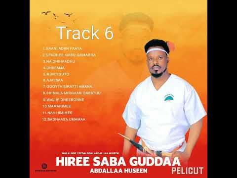 Abdallaa Husseen Saani Adiin Faaya New Oromo Music New Ethiopia Music 2024