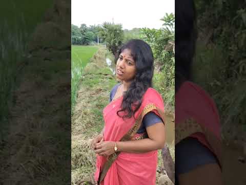 Aasaiyilapaathikatti Ilaiyaraaja Gankaiamaren Psusheela Mano Engaoorukavakaran Shinysinger