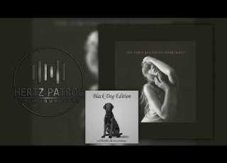 Taylor Swift Who S Afraid Of Little Old Me 432hz