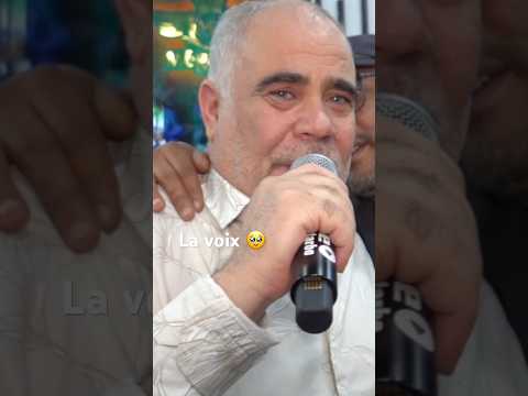 شيخ شيوخ شيخ عراس من بكري والذنيا غدارة