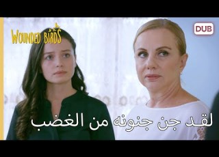  لقد جن جنونه من الغضب الطيور المجروحة 170