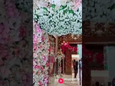 فتحلك وردات الزهر