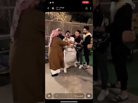 عور قلبي جبوري