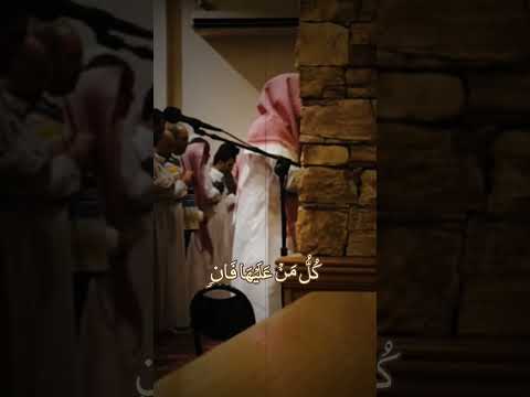 Surah Rahman Beautiful Recitation By Umair Shamim Fyp Quran Reminder