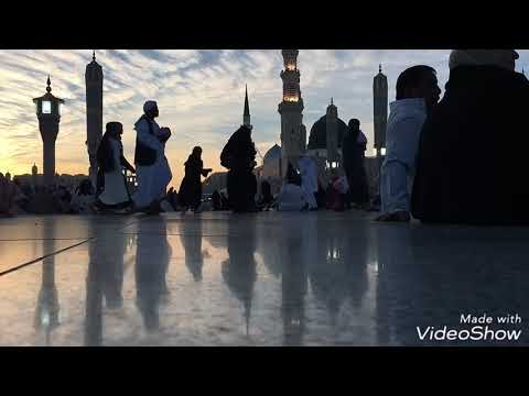 ياطيبة جئتك صبا في رحاب النبي